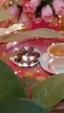 TikTok video #7061805224213728514