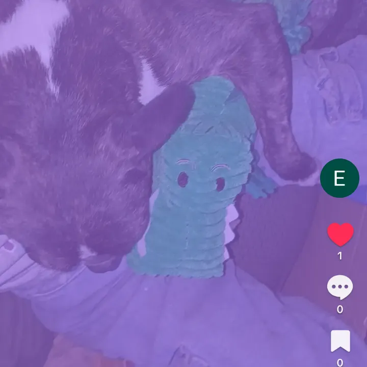 tiktok-live video #7596346059044031262 2026-01-17 15:18