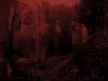 TikTok video #7583050012708343048