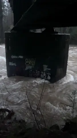 Take us with the floods 