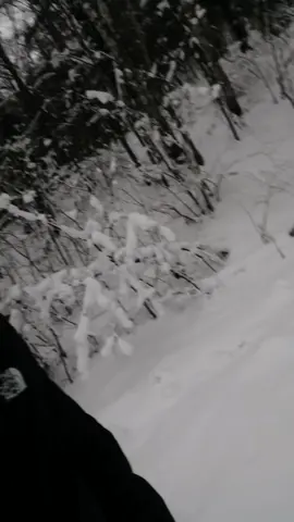 TikTok video #7048893067381771522