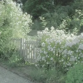 ой как красиво :))) #музыка #песня #mary #maryonacross #music #song #...