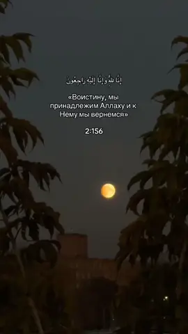 TikTok video #7375046692669820165