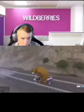 Wildberries (Ва́йлдберриз, Уа́йлдберрис, Ва́йлдберрис; дословно — «Ди...