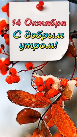С добрым утром 🌞🍁🍂🍁#14октября #покров #доброе_утро #сдобрымутром