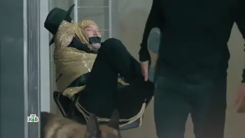 ПЕС# КАПИТАН Гнездилов#🤣  своём репертуаре чудит на полную катушку#🤣 