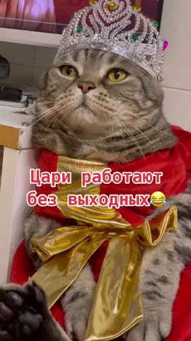 😂❤️#обнимиеё #рим #tiktok #артист #врек #вася #актер #рекомендации #к...