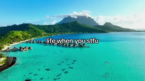 #stfu #fyp #foryou #bora #viral #trend 