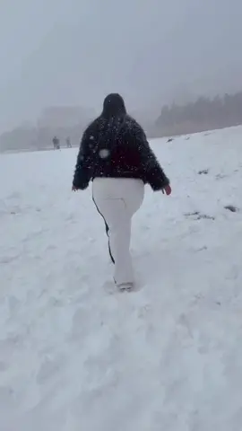 TikTok video #7589639012151823636