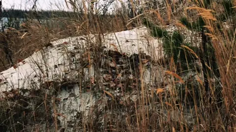 больше фонов в тгк: мистик life #тильт #mistweak #фон #спокойствие #б...