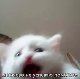 Все щт не мои! Из пинтереста и комментариев) Содержимое ответа Ощущен...