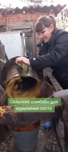 #жизньвселе #сельскаяжизнь #сельская #ядеревенская