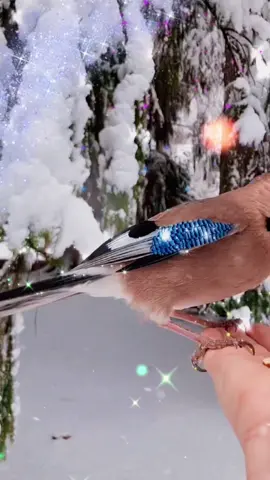 TikTok video #7070584572580236546