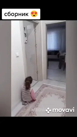 #котэ #котикимилые #котикисмешные #прико