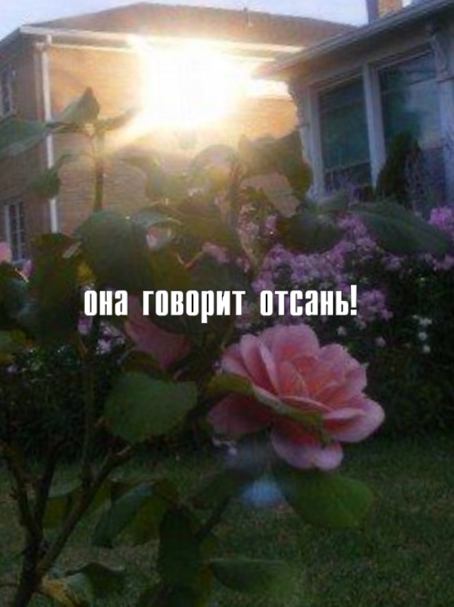 она говорит отстааань  #онаговоритотстаньперехожуэтугрань #песни #муз...