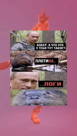 #мем #рекомендации❤️❤️ #fyp #налоги....