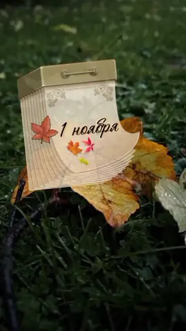 #1ноября #ноябрь #чтотакоеосень #споследниммесяцемосени #с1ноября 