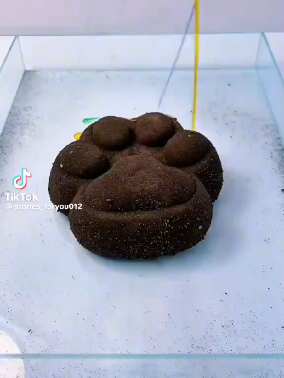 Я не приду к вам на ночёвку если @Nevqer #роблокс #лайк #кринж #реком...