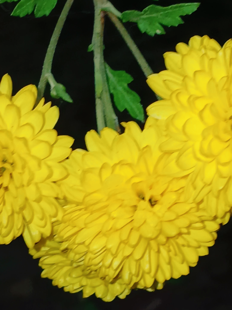 Стрелец. #стрельцы #стрелец #девушкастрелец♐️ 