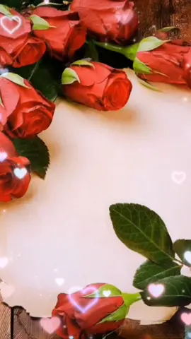 TikTok video #7033554913095372034