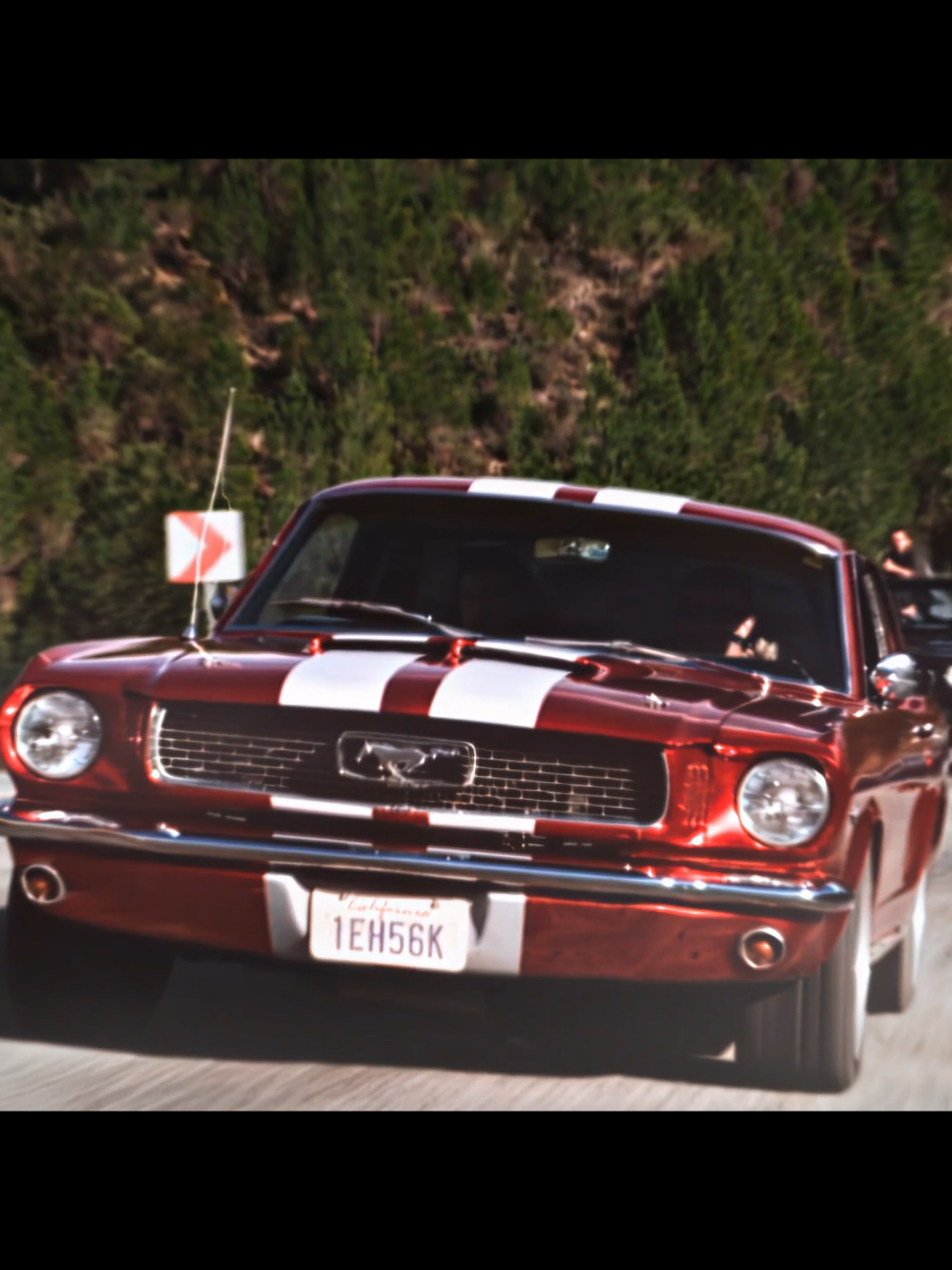 TikTok video #7576081144723148044