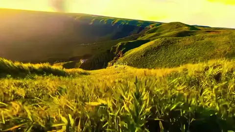 Song: sleeping city... peak edit?#foryou #editors🇻🇳 #yxnrv #120fps #c...