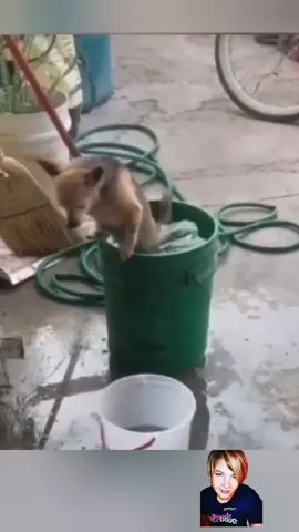 TikTok video #7066722226531339521