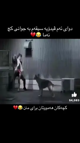 #😂😂😂 #😂😂😂😂😂 #😂😁🤣  #فاخیرهەریری #faxirhariri 