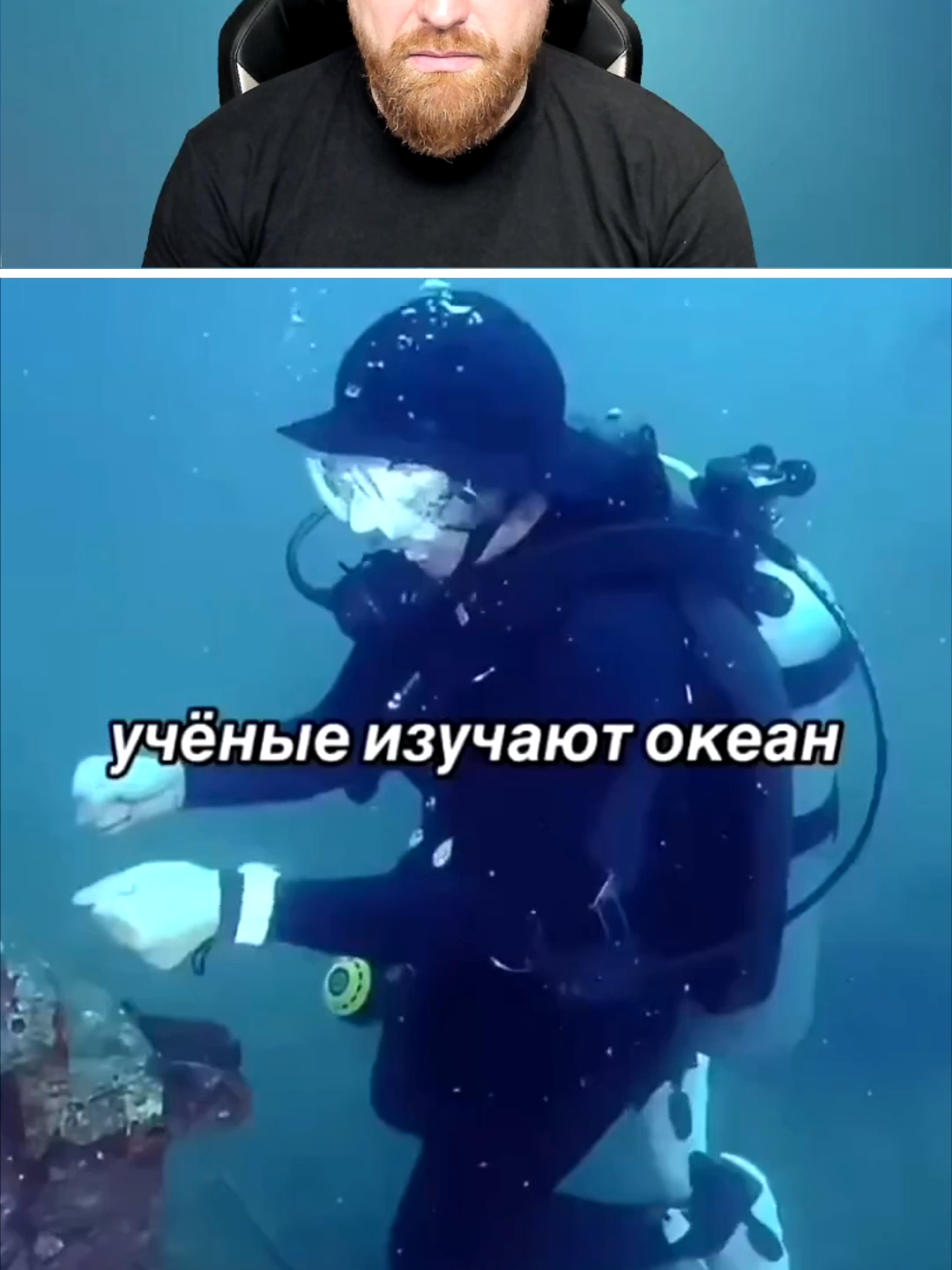 Петренто ученые #петренто #petrento #приколы #мем #реакция