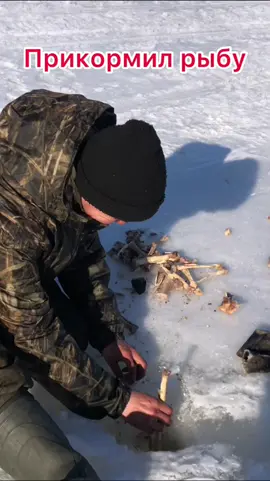 Улов 👍 #ЖизньВлесу #ЖизньХанты #KhantyLive 