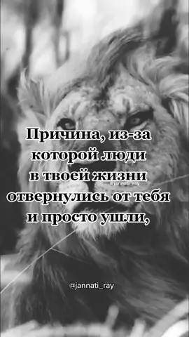 TikTok video #7062966253899615489