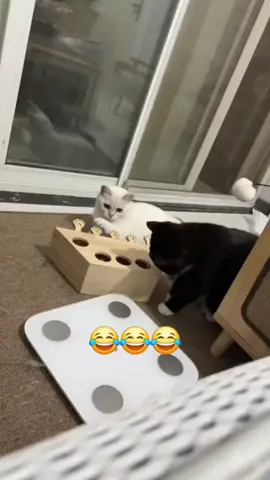 TikTok video #7508192580715203870