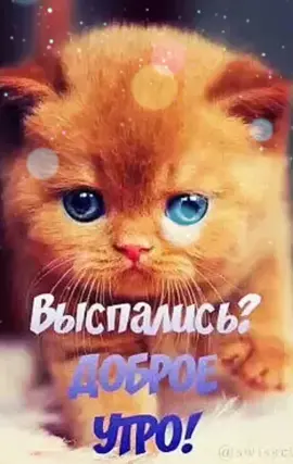 #врекии #подписывайся #врекомендациях😂