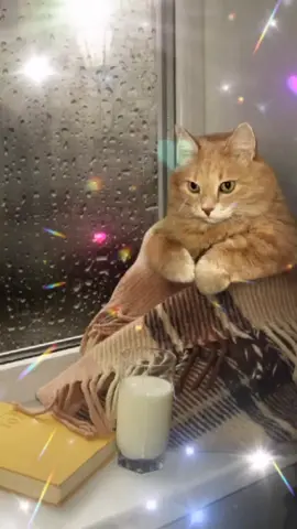 TikTok video #7017439639430548738