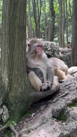 TikTok video #7565362865796893983