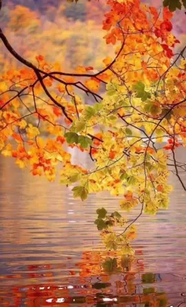 TikTok video #7005679035279838465