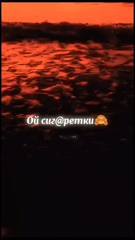 TikTok video #7567564250831523080