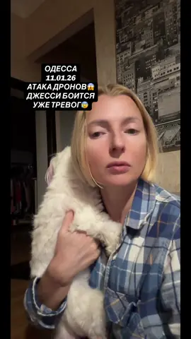 Собачка сразу на руки просится, очень боится((( #позитивчик😜 @МАЖОРКА...