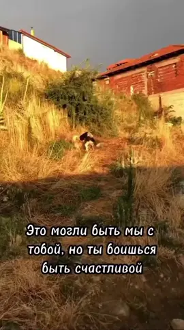 #хорошегонастроения 