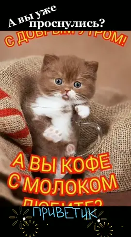 #утродоброе