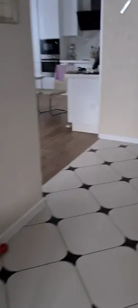 #иркутск #щенки #кокерспаниель