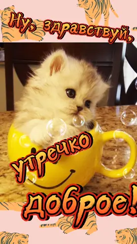 #доброеутро🌼