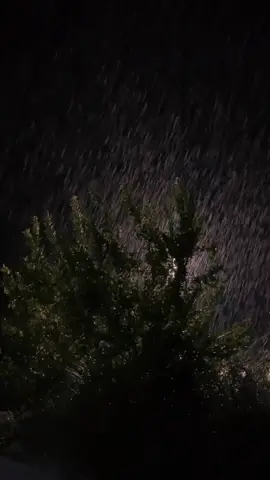 #capcut #шаблон #текстпесни #спотифайпесни #slappytap #трекикоторыеищ...