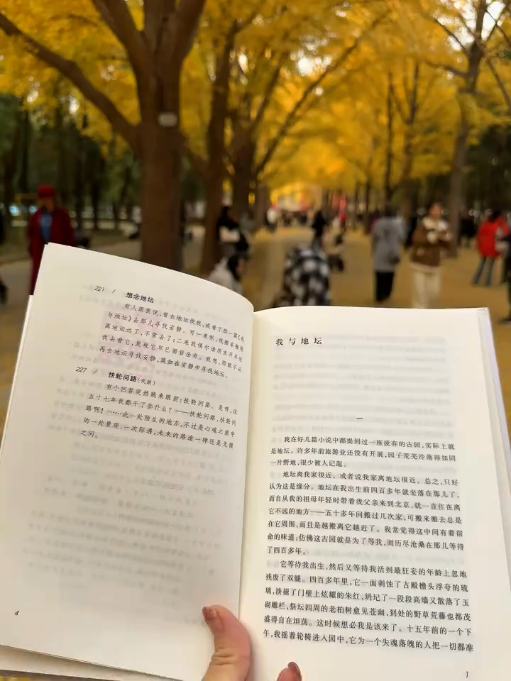 Vjeshta e ëmbël dhe e artë e Pekinit