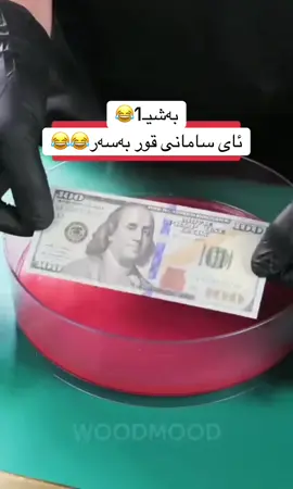 #komedia😂 #foryyyyyyyyyyyyyyyyyyyyyyy #scofield🖤 #tibag #foryou کورە ...