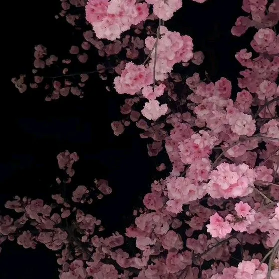 файб эфирчик♡