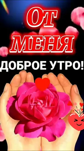 #доброеутро