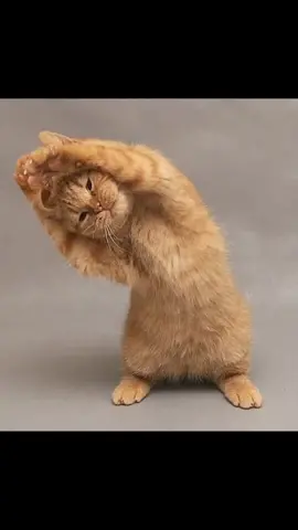 #💞💞💞 #доброговечера #💞💞💞 #