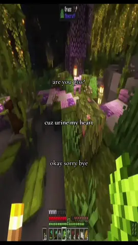 #minecraft #fyp #stretchtok 