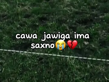 😭💔#jawi_bila🌊❤️🌴#jawiga_jawiyada_eryaday🌴❤️#mohamed😋💘 